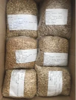 Caja con bolsas de muestras de café verde etiquetadas a mano