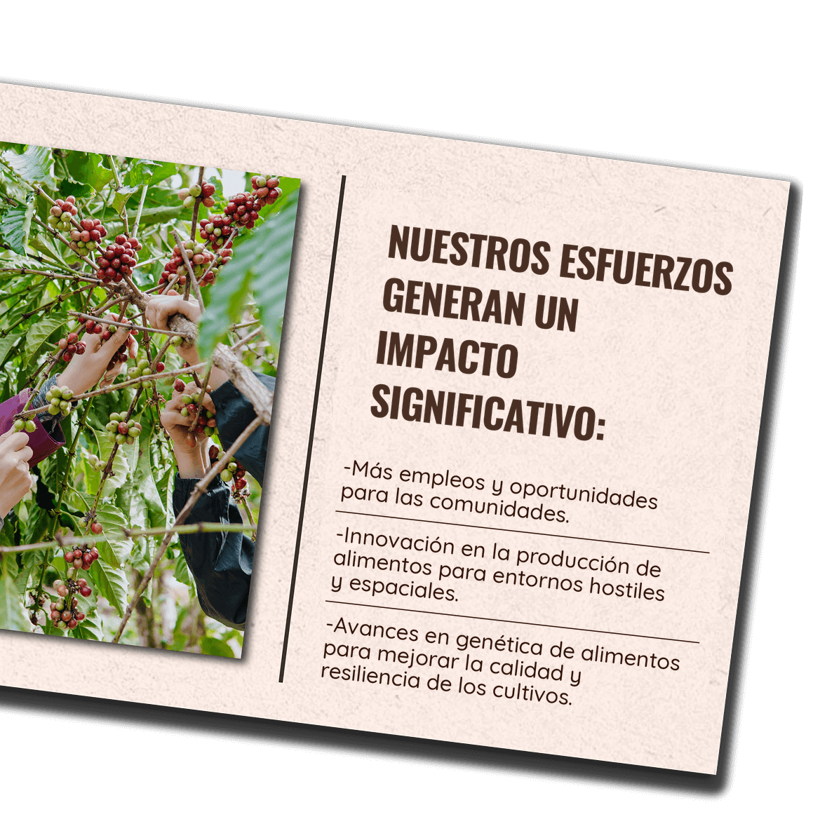 Nuestros esfuerzos generan un impacto significativo: más empleos y oportunidades para las comunidades; innovación en la producción de alimentos para entornos hostiles y espaciales; avances en genética de alimentos para mejorar la calidad y resiliencia de los cultivos.